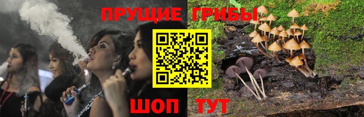 Галлюциногенные грибы Psilocybine cubensis Чайковский